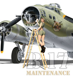 B17 series page